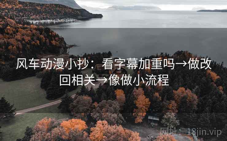 风车动漫小抄：看字幕加重吗→做改回相关→像做小流程